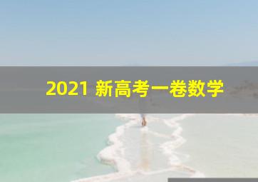 2021 新高考一卷数学